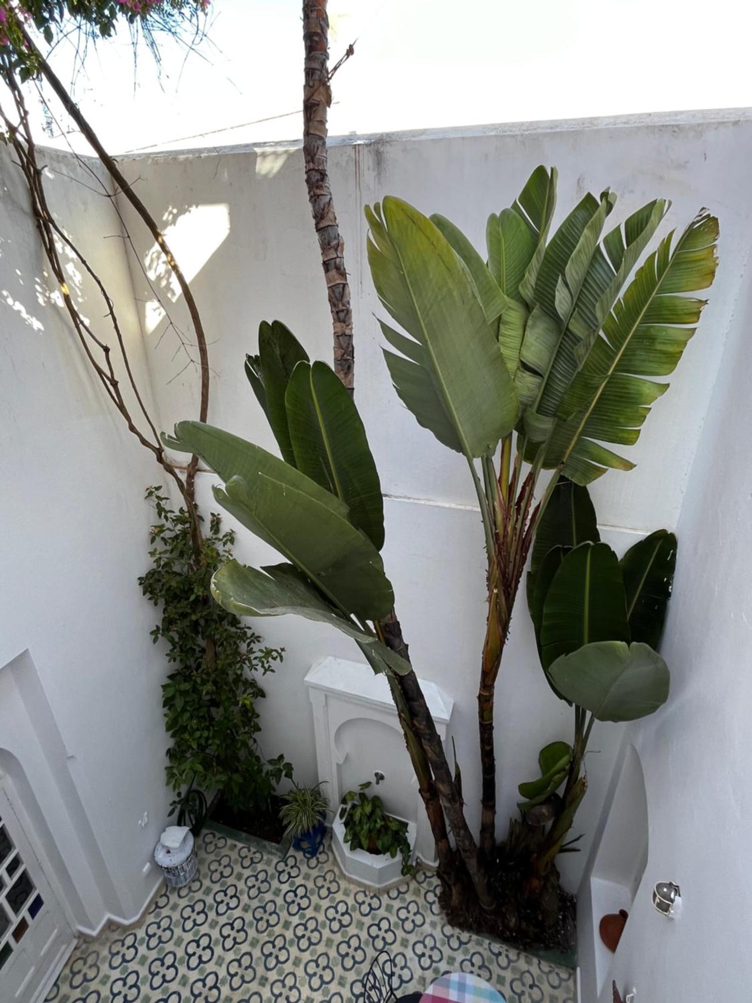 Casabonita Villa Asilah Cameră foto
